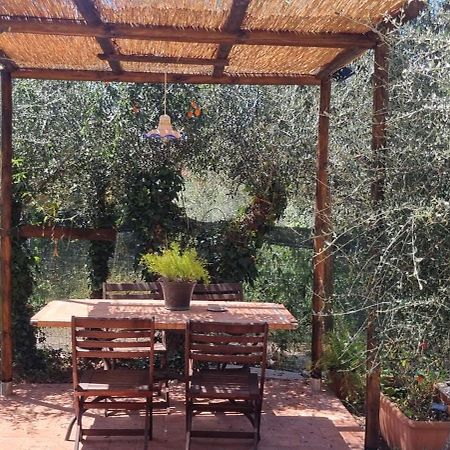 La Merla Del Tasso Camaiore Εξωτερικό φωτογραφία