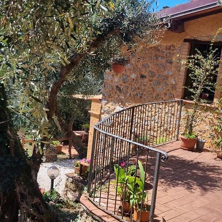 La Merla Del Tasso Camaiore Εξωτερικό φωτογραφία