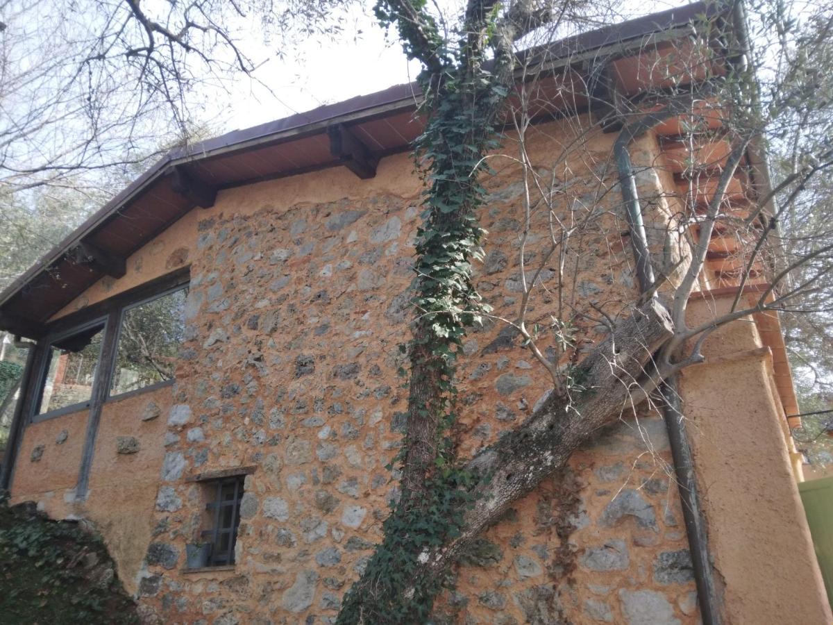 La Merla Del Tasso Camaiore Εξωτερικό φωτογραφία