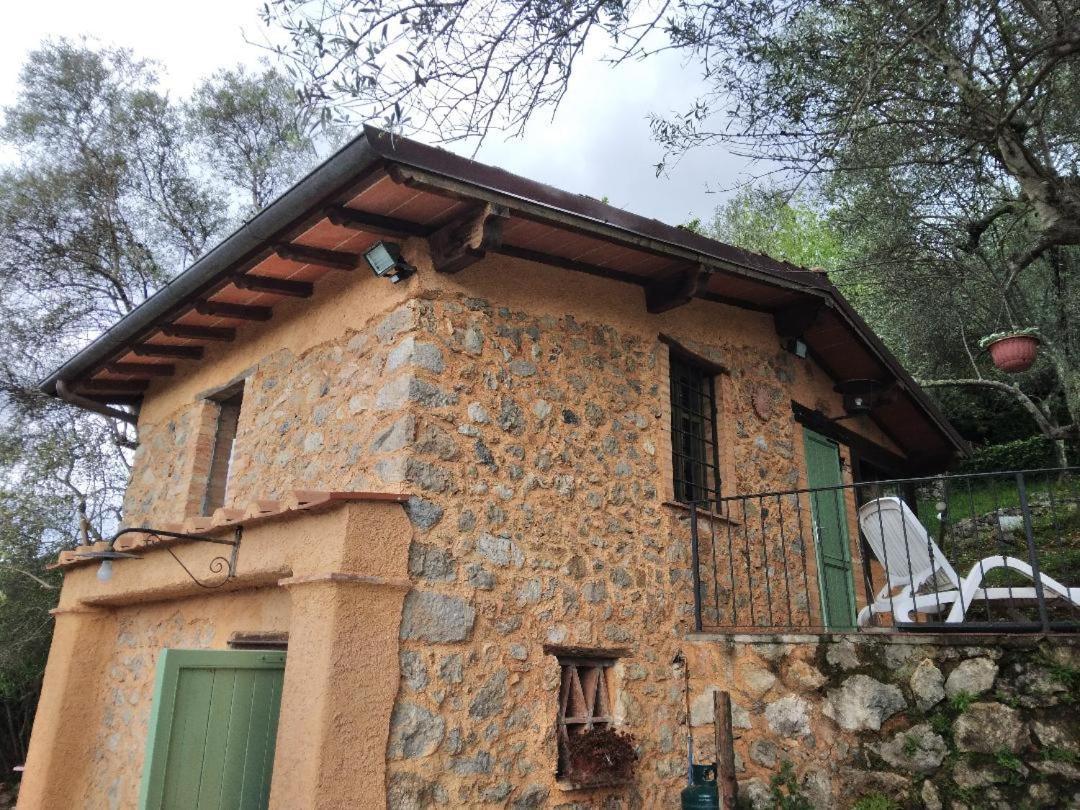 La Merla Del Tasso Camaiore Εξωτερικό φωτογραφία