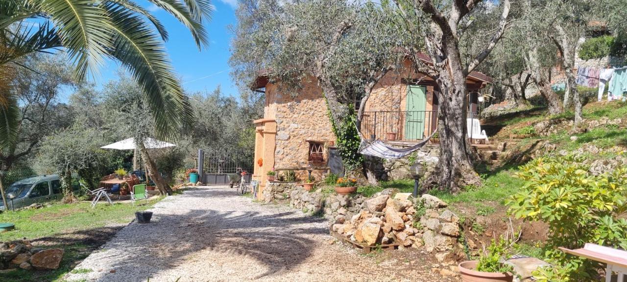 La Merla Del Tasso Camaiore Εξωτερικό φωτογραφία