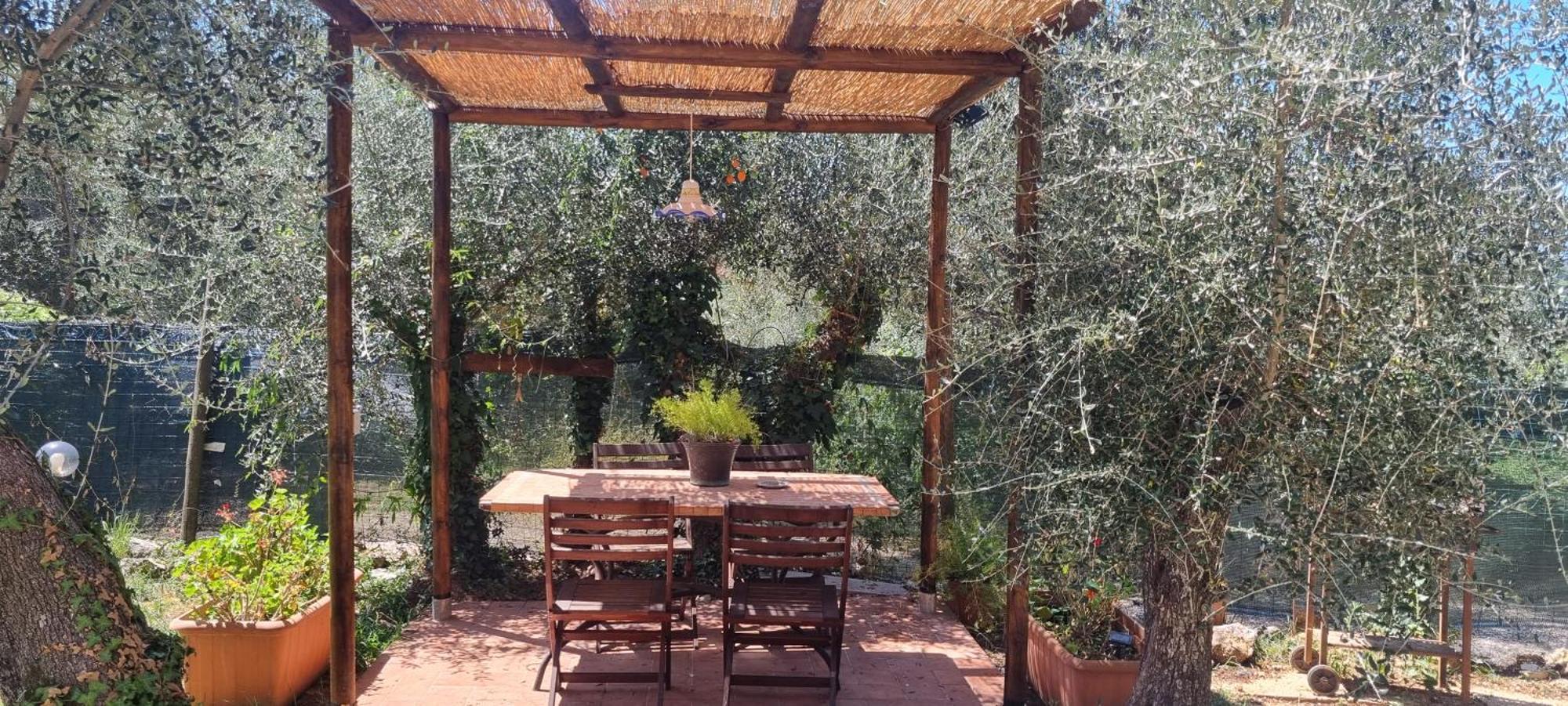 La Merla Del Tasso Camaiore Εξωτερικό φωτογραφία